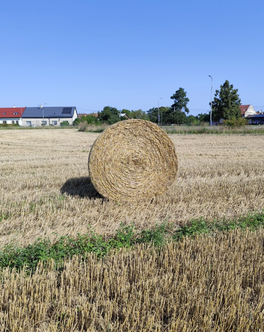 Hanácká zemědělská - prodej balíků sena